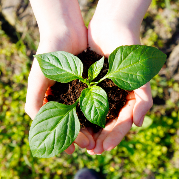 環境への配慮のイメージ写真