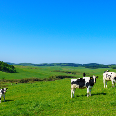 農業・酪農のイメージ