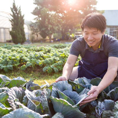 農家のイメージ