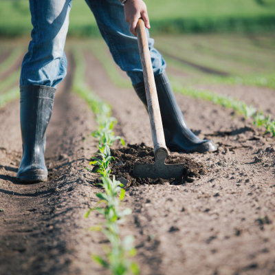 農家のイメージ