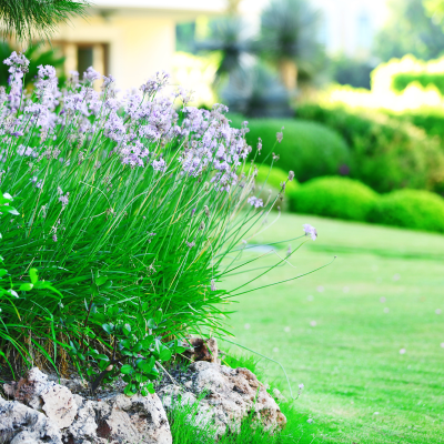 造園業のイメージ