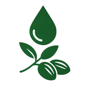 ホホバのイラスト