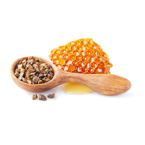 プロポリスのイメージ写真