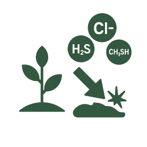 土壌の濃度障害を軽減するイメージ写真
