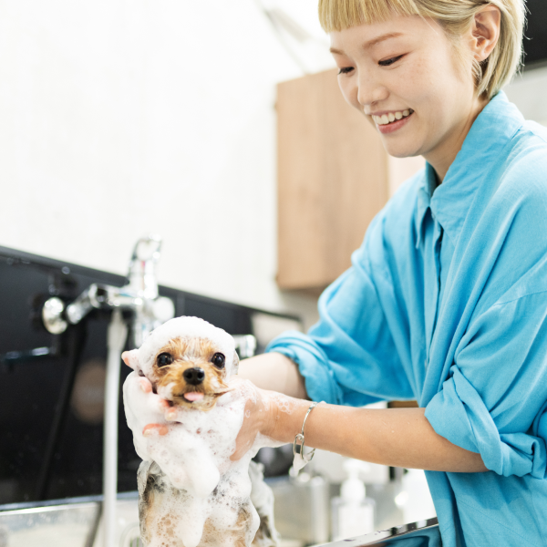 ペットサロン・ホテルのイメージ写真