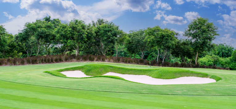 ゴルフ場 芝改善用 栄養補給剤のイメージ写真