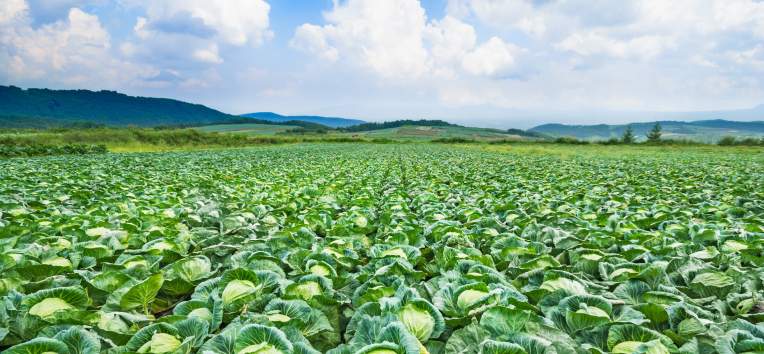 生理障害防止剤のイメージ写真