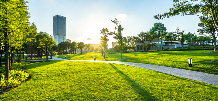 芝改善用 植物栄養補給剤のイメージ写真