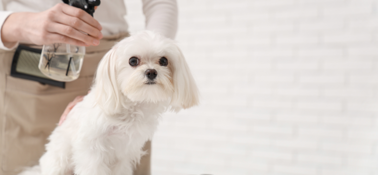 ペット用保湿スプレーのイメージ写真