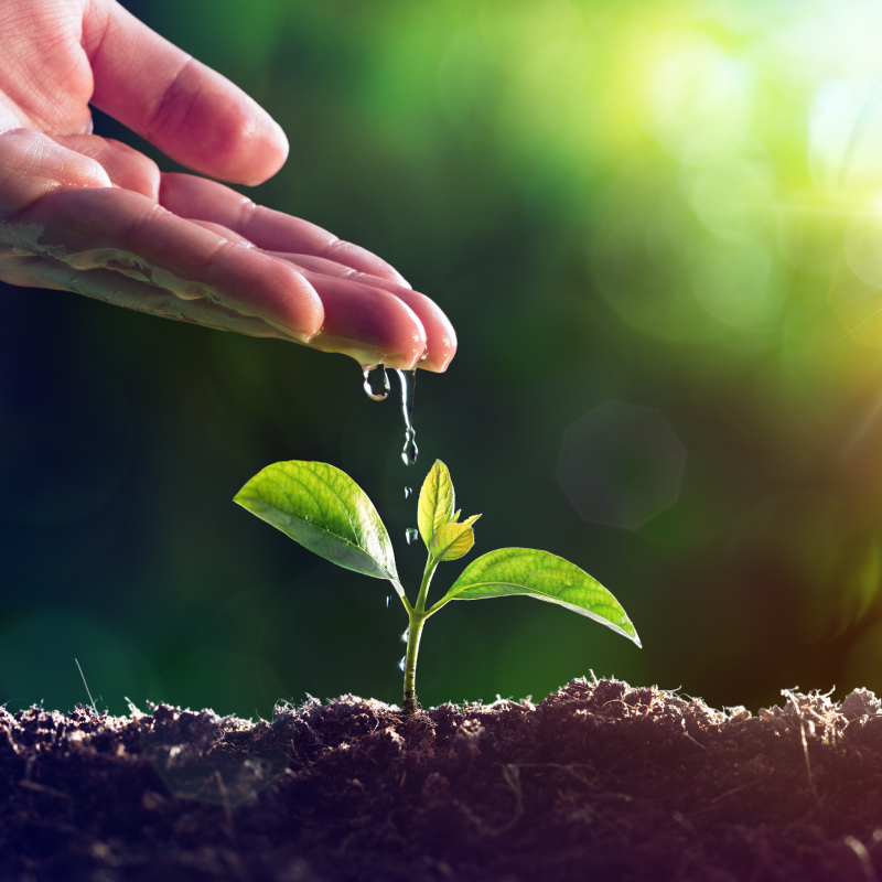 植物活性剤のイメージ写真