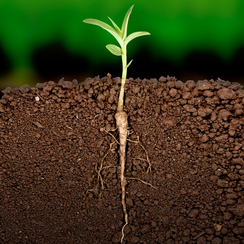 土壌活性剤のイメージ写真